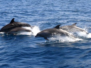 Crociera a vela attraverso lo Stretto di Gibilterra da Cadice