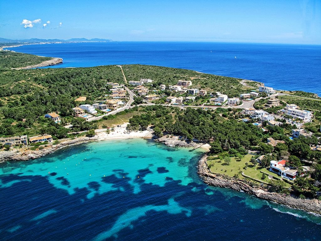 55d95c0e-609f-46c9-9f2c-70dbcb2f9602.c10 (1)