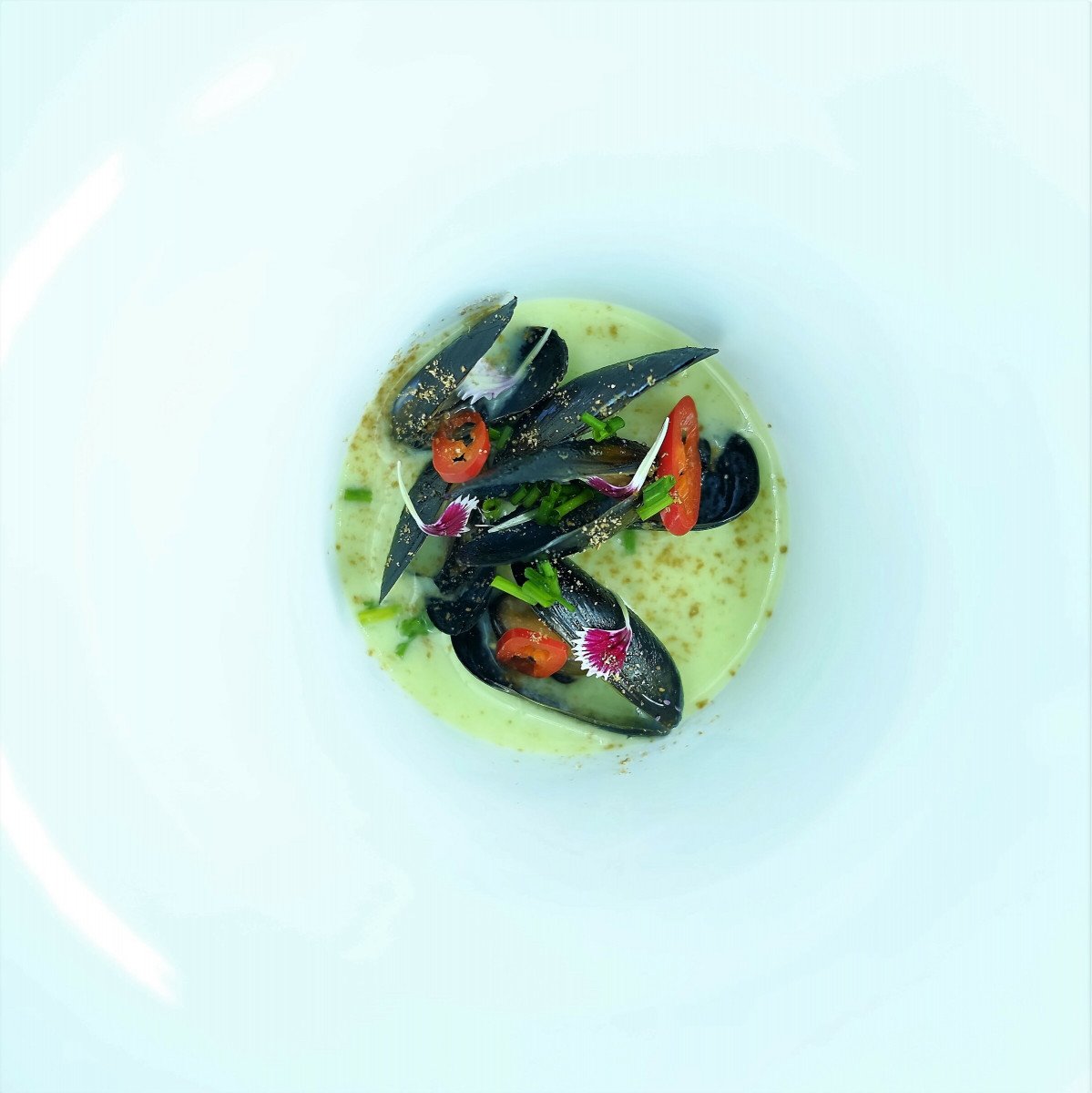 Experiencia de navegación y turismo en Castellón