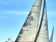 You will embark on a sailing cruise from the Santa Pola harbor.