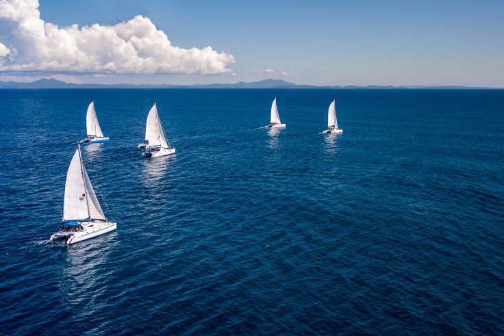 Varios catamaranes navegando en flotilla