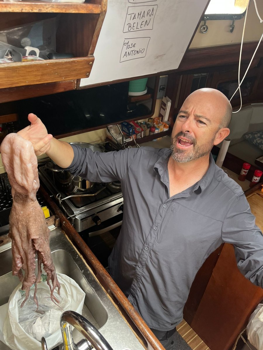 Lernen Sie während der Transatlantikkreuzfahrt zu segeln