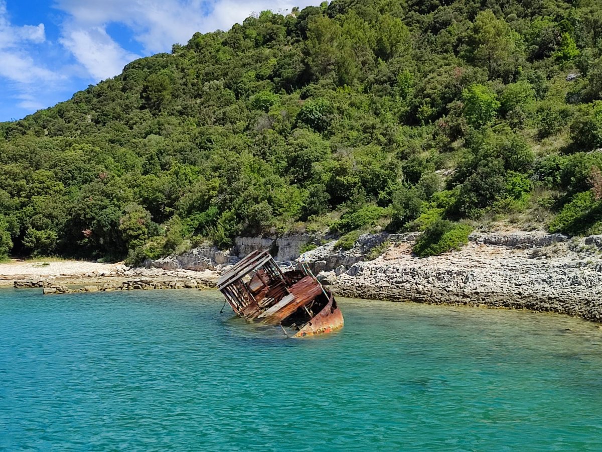 Vida marítima en Istria