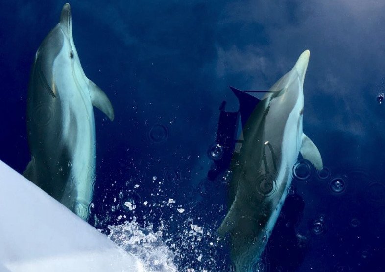 Segelboot entlang der Küste von Menorca