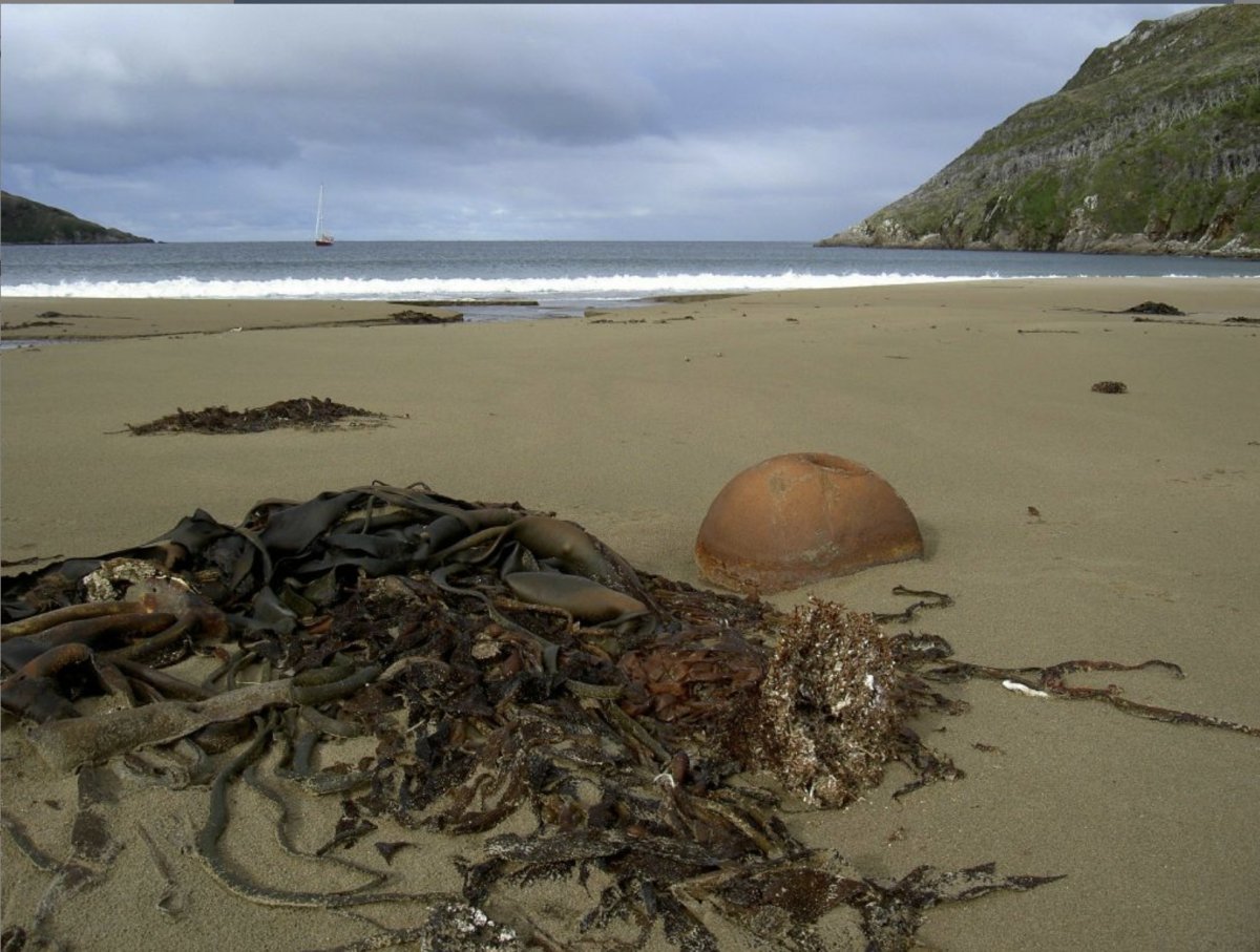 Descubre el cabo de Hornos con un crucero de lujo