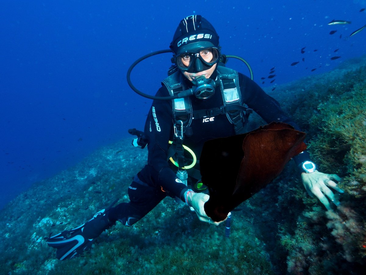 Sailing and scuba diving trip in Ibiza and Formentera, 3 nights, 5 dives