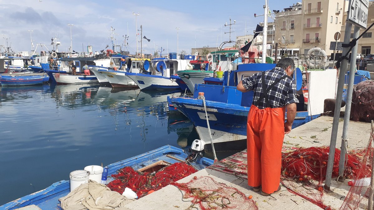 Viaggio in catamarano per la Sicilia e le isole Egadi da Trapani