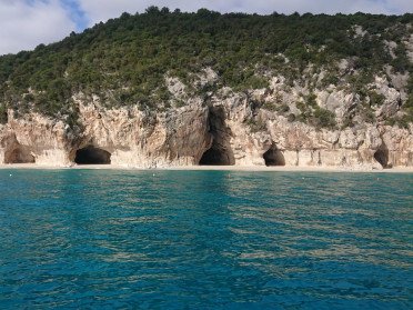 61a51915595366.25899916