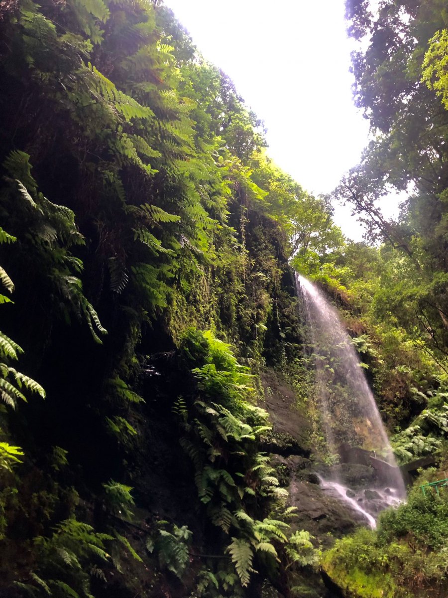 Best Views of the Canary Islands from the Sea