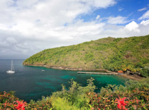 Martinique Catamaran Charter: Explore the Caribbean by Sea