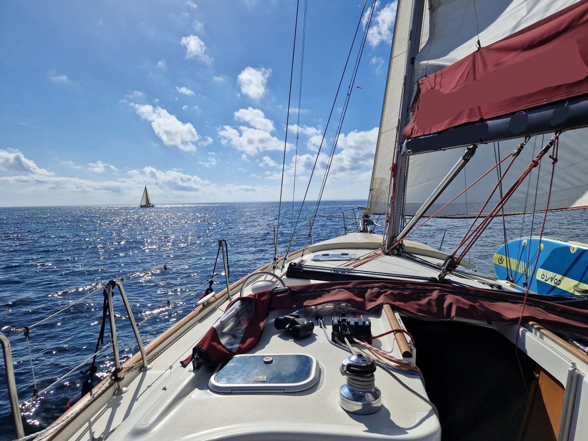 Navigation practice in the Mediterranean with a navigation license in Estepona