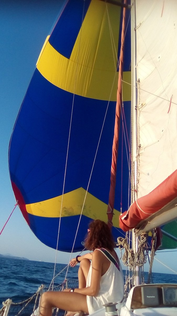 Puma Veleros - 8 metros