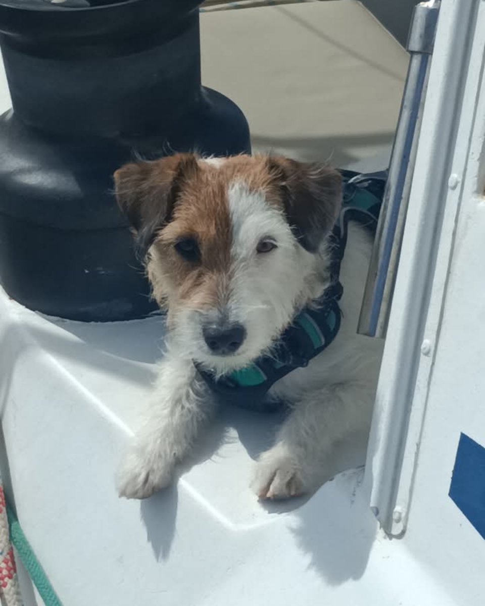 Familien-Segelurlaub auf einem 18m Ketch