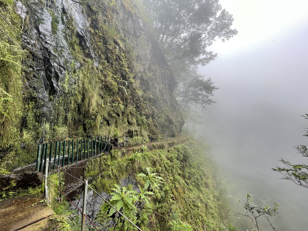 Explora las costas de Madeira en un viaje de vacaciones navideñas