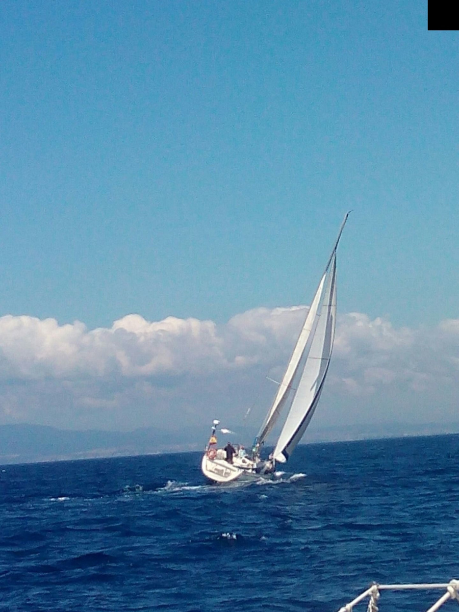 cz5jh2t7kwufhgw27ic259vp4h4weird-big