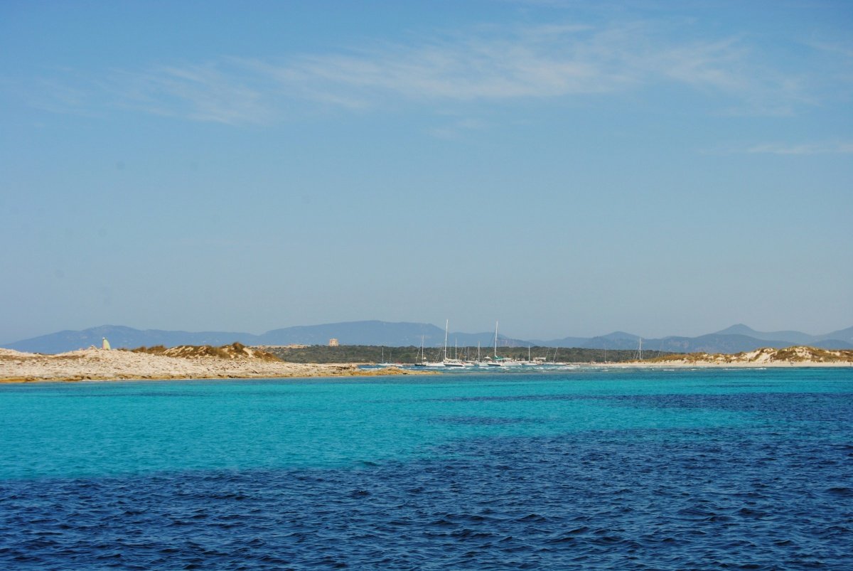Esplora Ibiza e Formentera in crociera a vela e immersioni