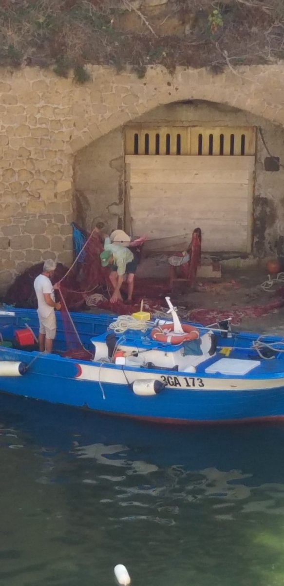 Safari in Vela da Ischia a Ventotene per il 2 Giugno