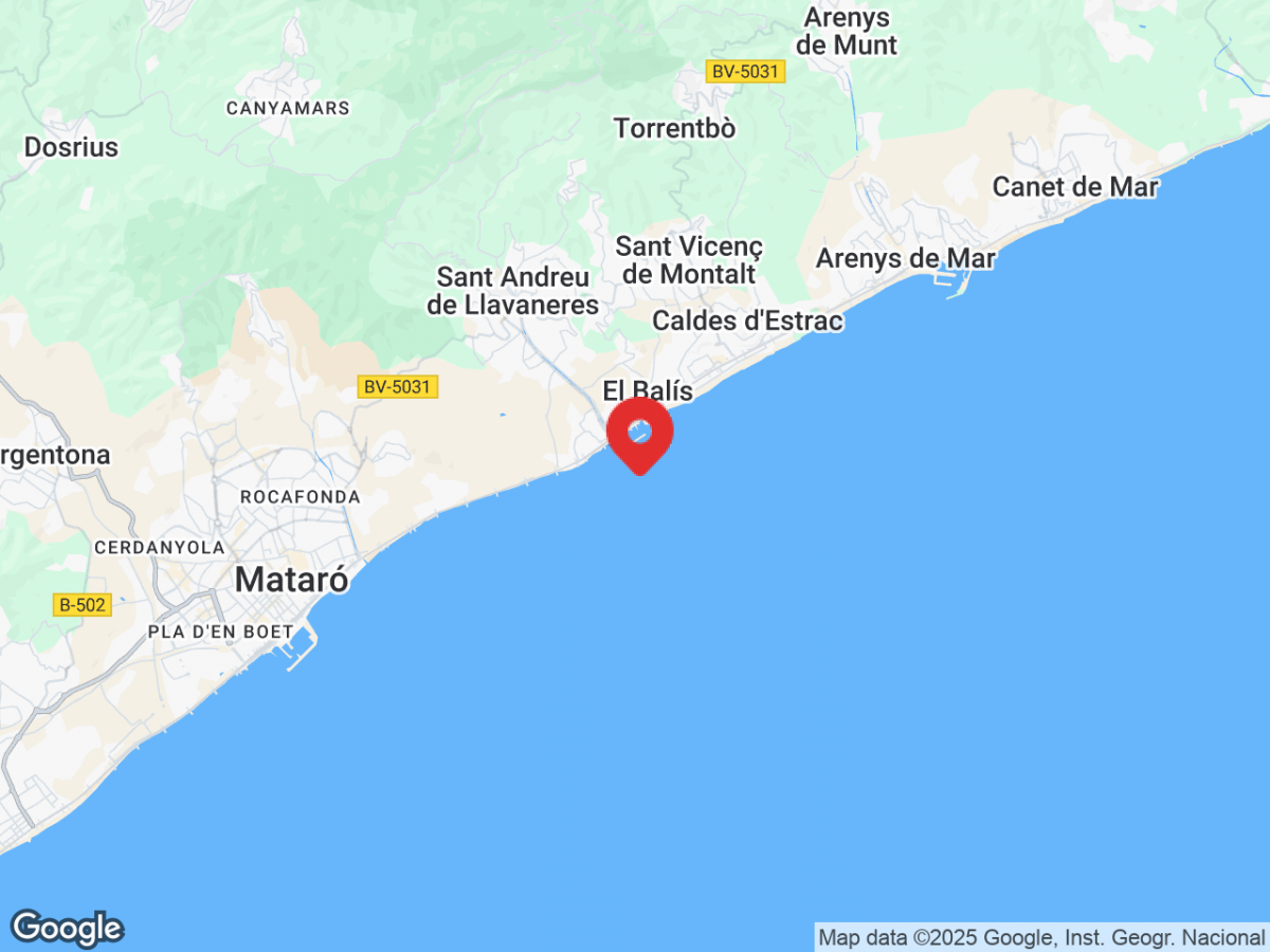 5e95ab598d99d39563a12fba984b1c72