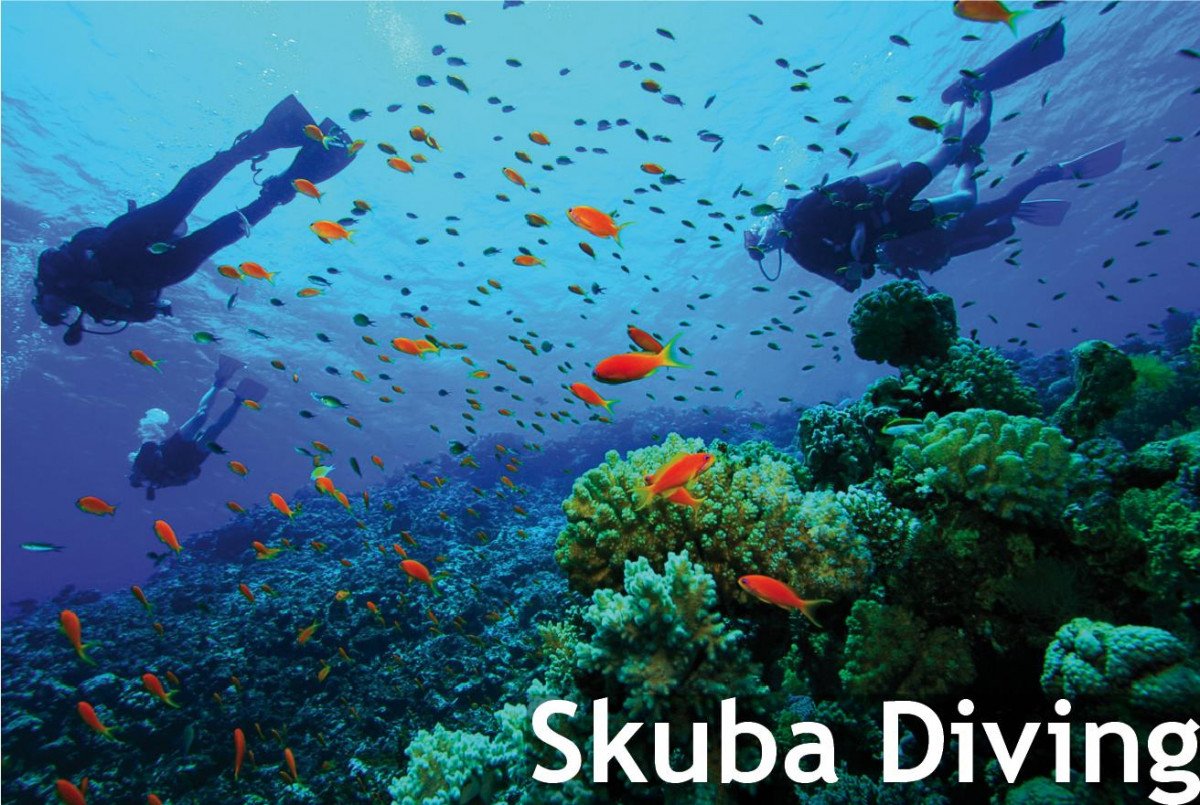 skuba-diving.jpg