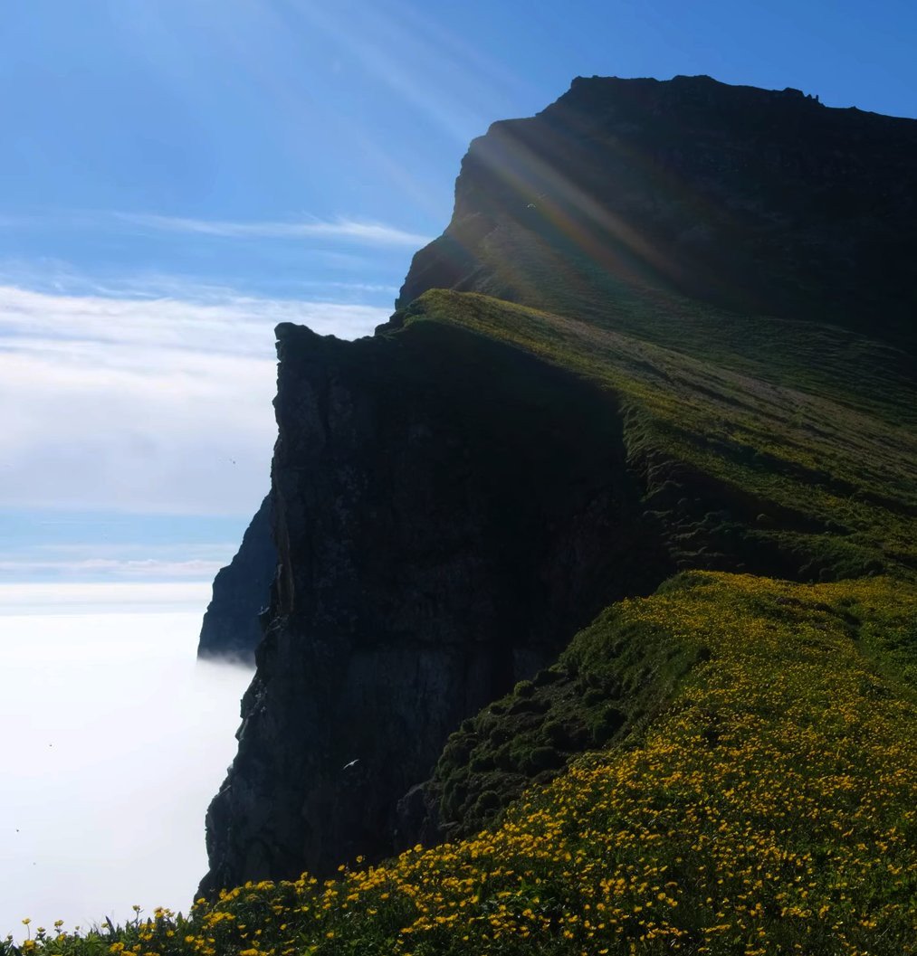 Bootstour durch die Gletscherbuchten der Westfjorde Islands