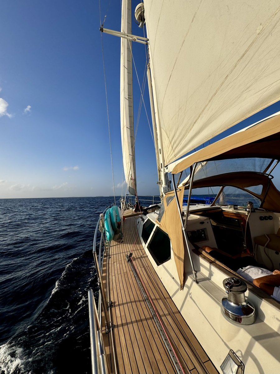 Velero - Tayana - 2001