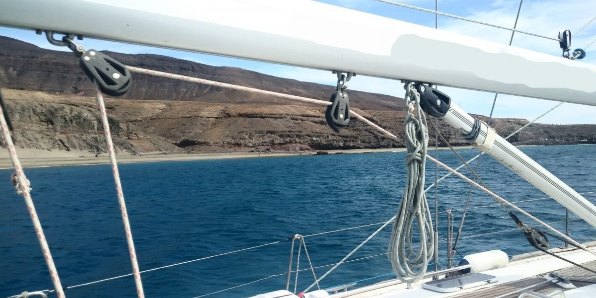 668c1e782a2f59.44336301