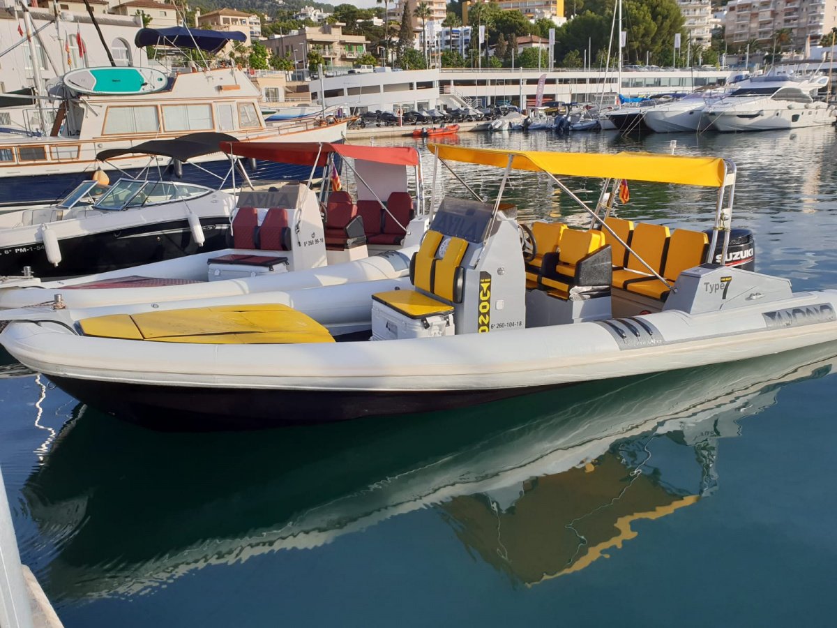 alquiler-barco-con-patron