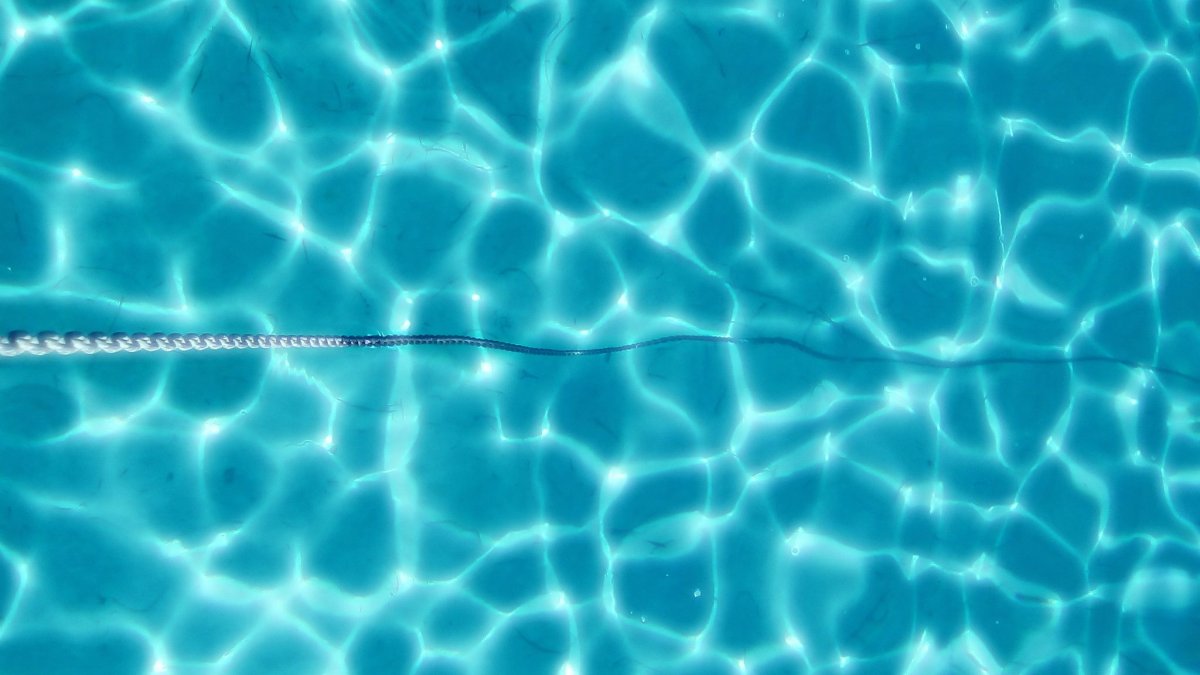 Reisen Sie mit dem Segelboot zur Insel Asinara, wo das Meer am kristallklarsten ist.