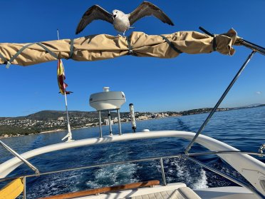 Escursione in barca di 8 ore attraverso le calette blu di Palma, con ancoraggio