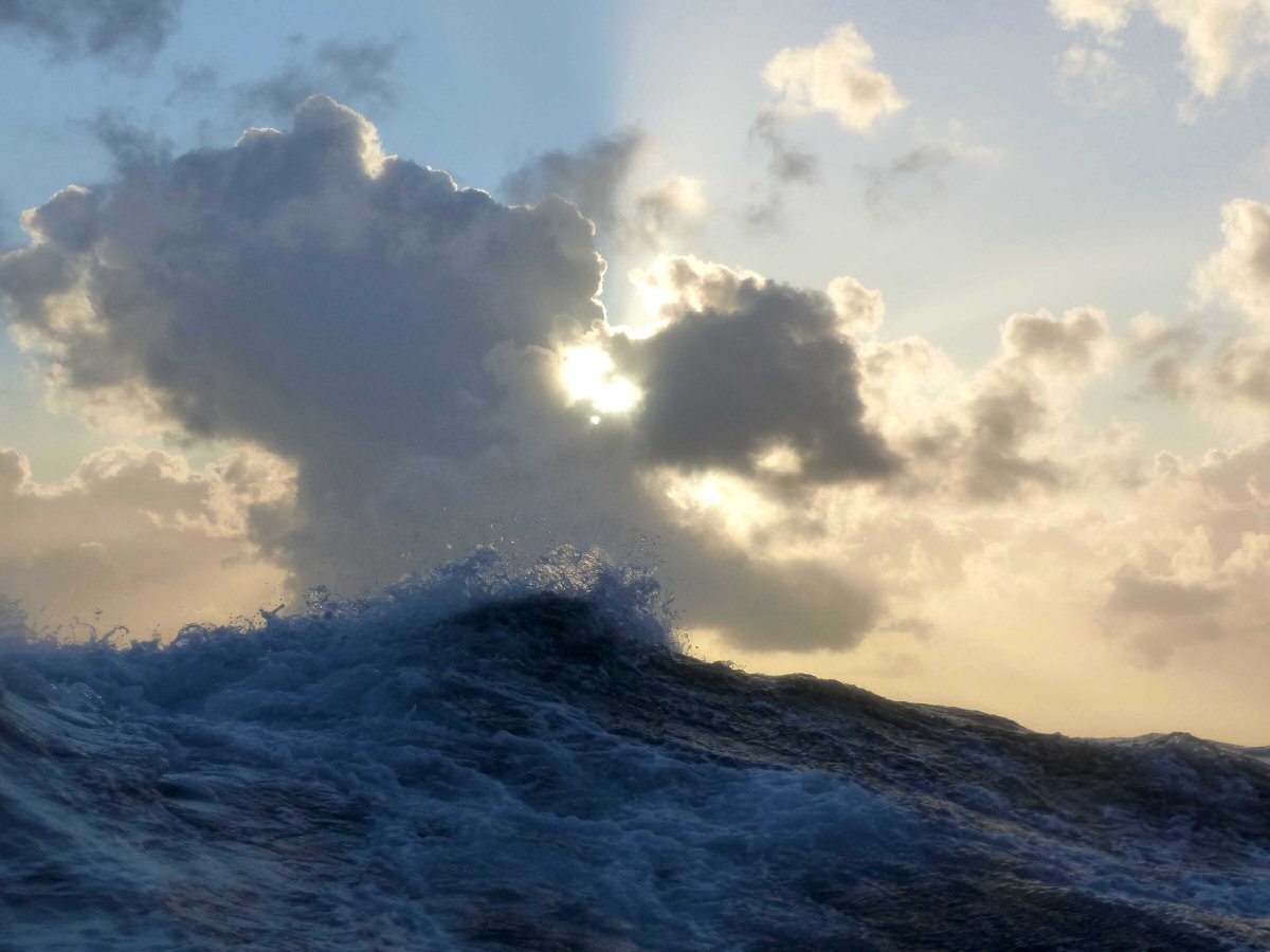 Explora las islas del Caribe en un barco de vela