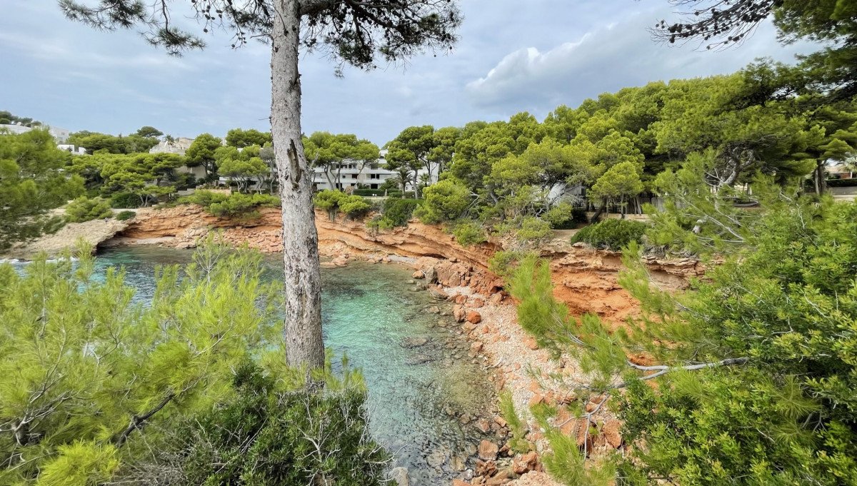 Da Maiorca a Badalona