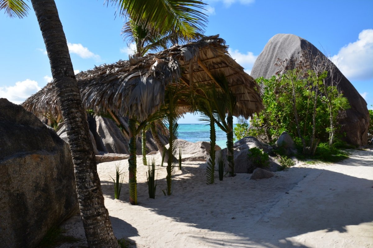 Incontro con la Vita Marina - Nuota con i Delfini