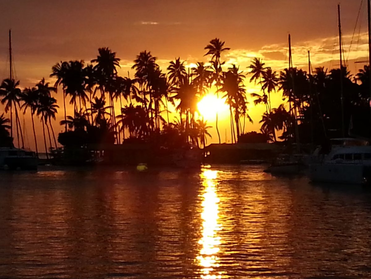 Explora las islas del Caribe en un catamarán