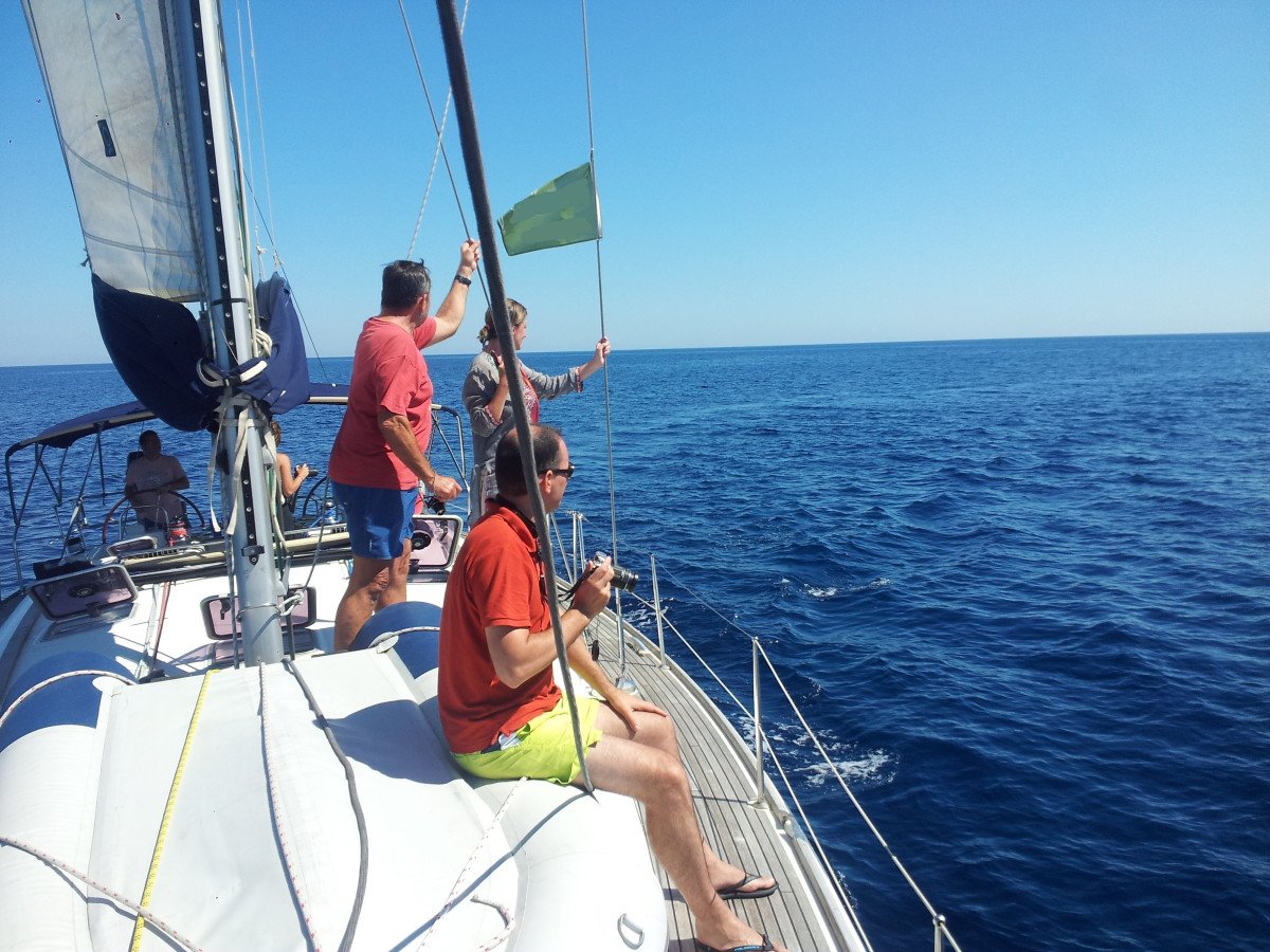 6459140d335747.22779878