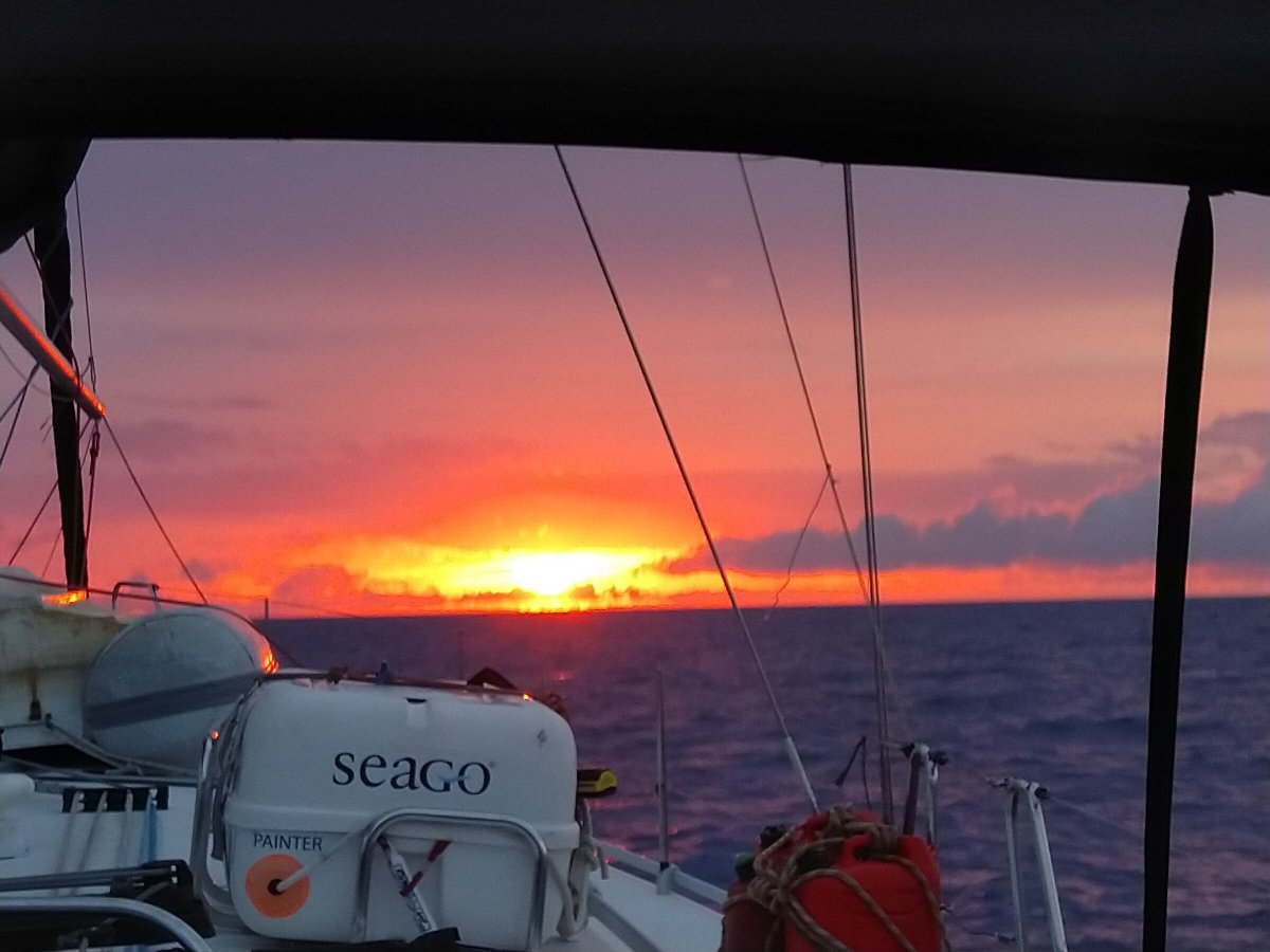 Sailboats in the Antigua Bermuda Race