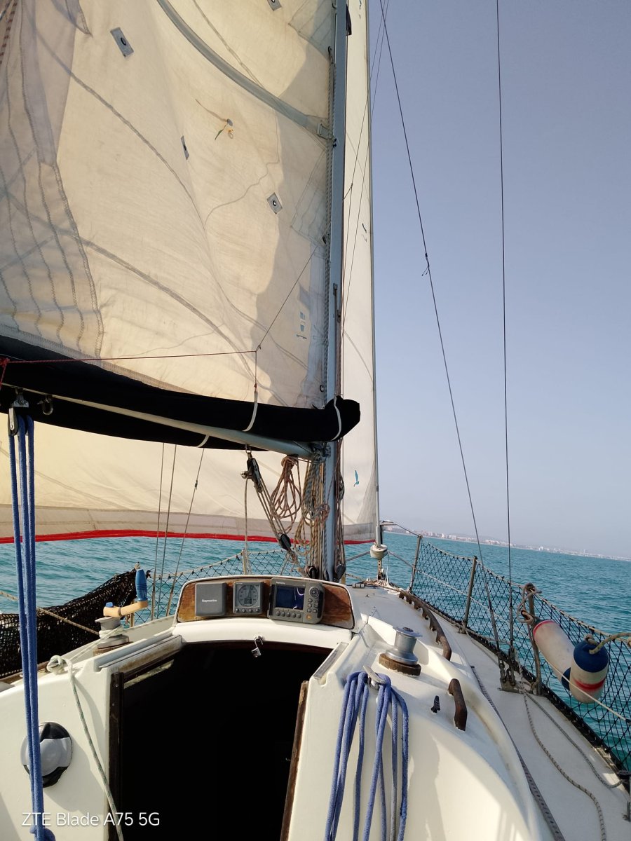 Luftaufnahme des Reservats von Sierra de Irta von einem Boot