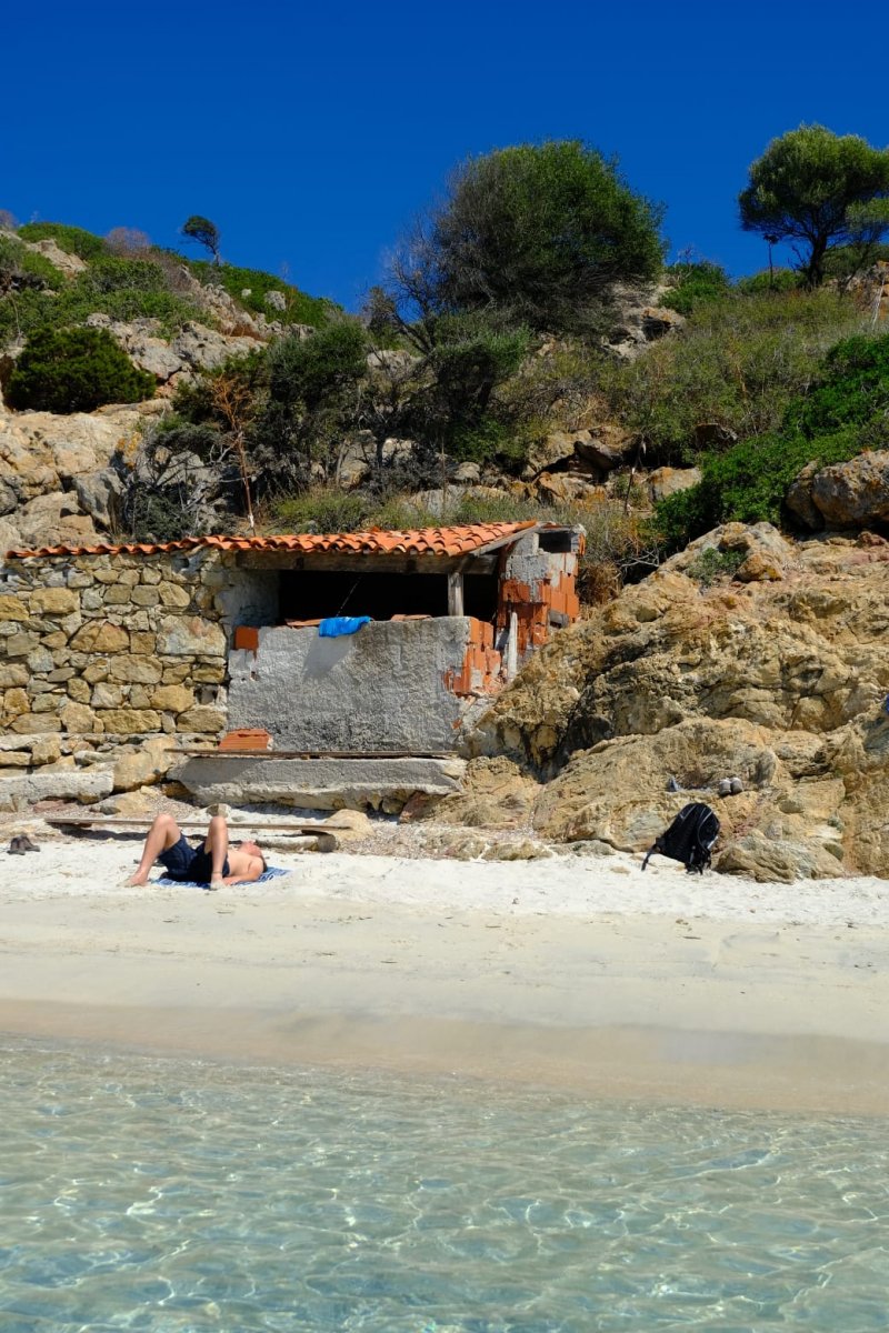 Barche a vela nel parco dell' Asinara