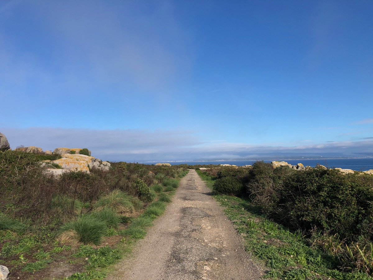 Desembarco en la playa de la isla de Sálvora