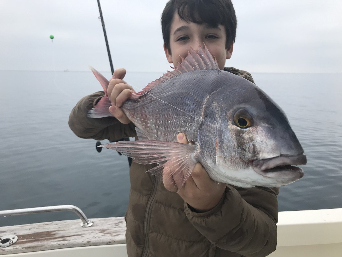 Pesca e vela a Marbella