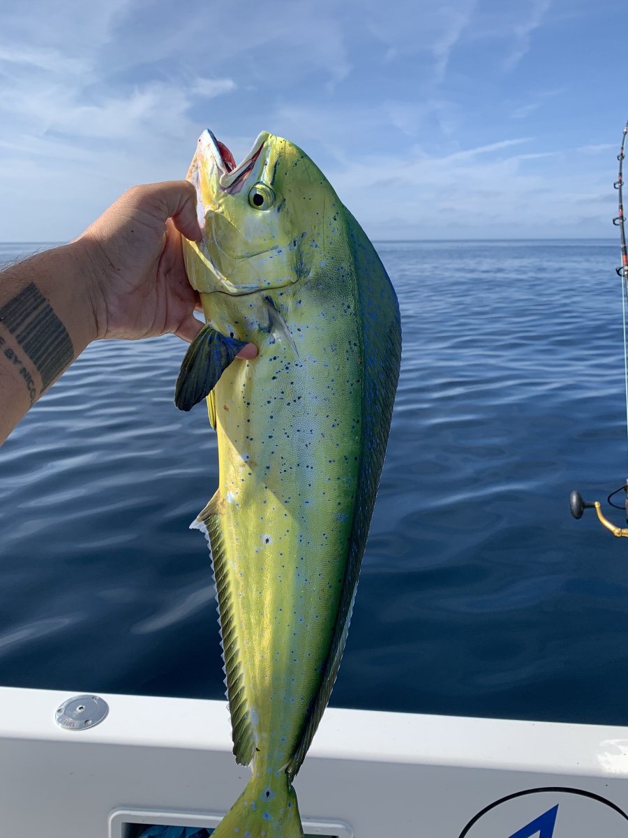 Cádiz Deep Sea Fishing