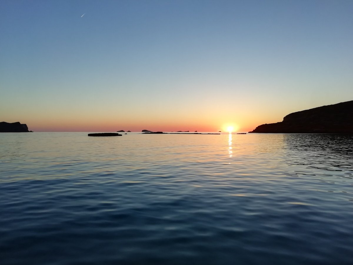 Sailboat trip to spot dolphins and whales