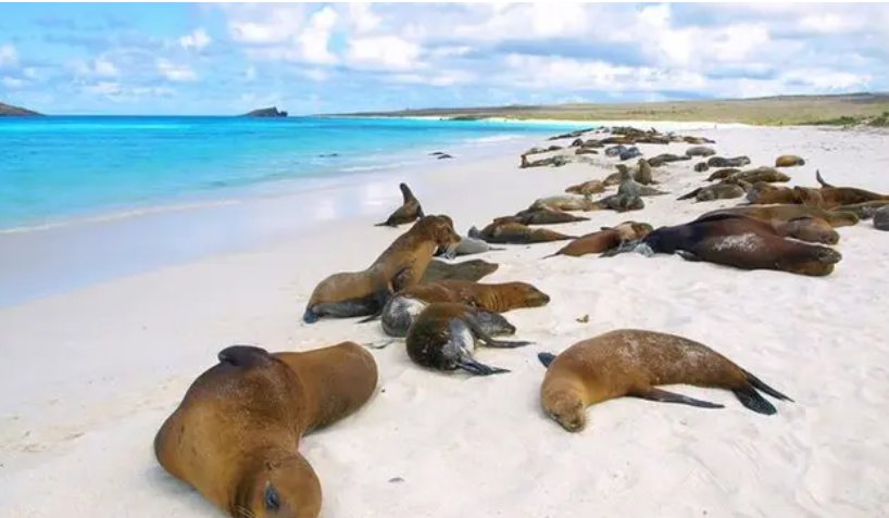 Tour in yacht alle Isole Galapagos