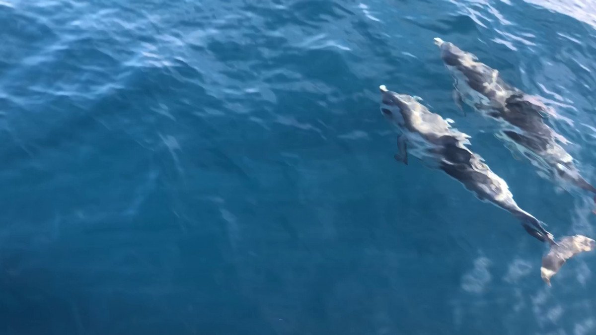 Viaggio in barca nel Mediterraneo