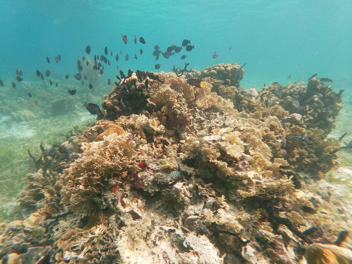 Ein Abenteuer auf See - Segeln Sie mit Aquatrip