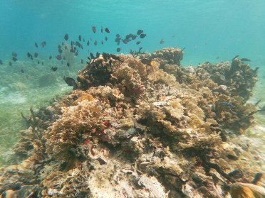 Segeltörn im Archipek von San Blas
