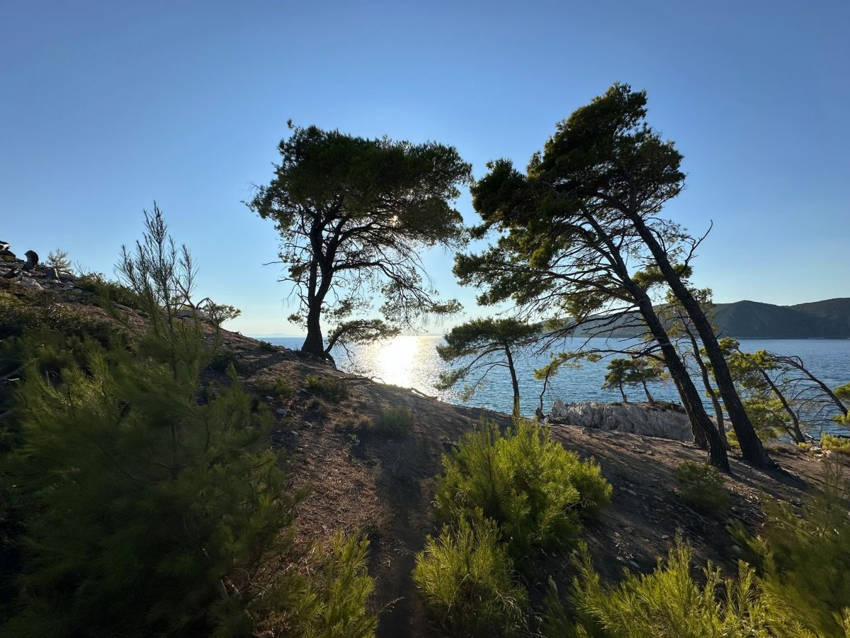 A flotilla cruise to the Sporades Islands on two catamarans