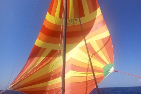 Traversata Atlantica 2026: Lanzarote - Martinica