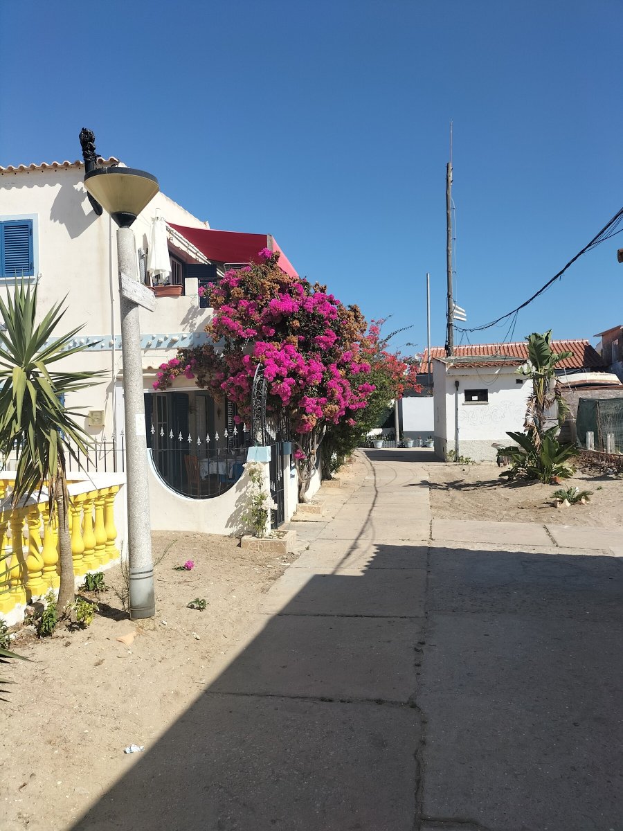 Viaggio in Barca da Cadice a Portogallo (Faro)