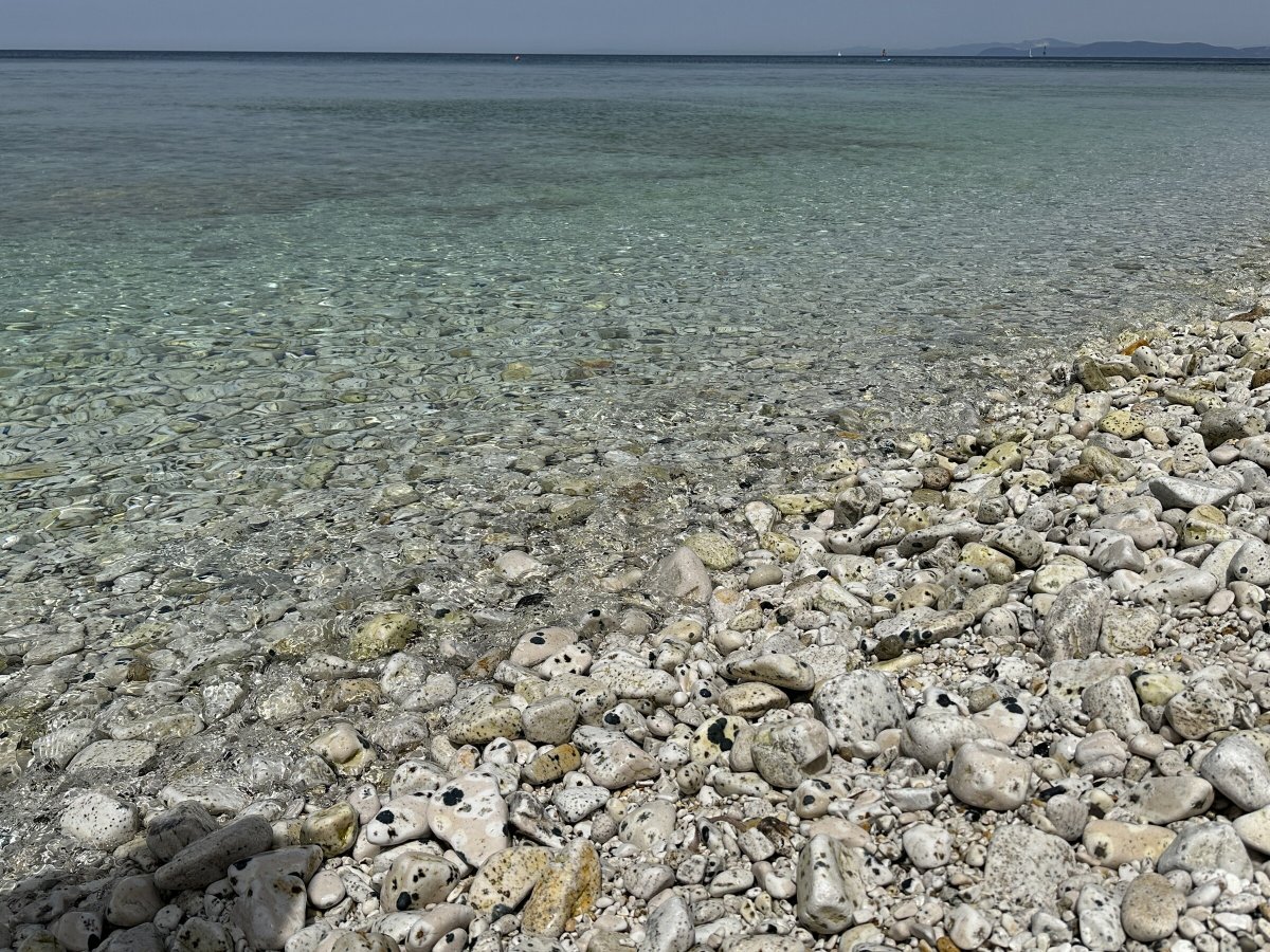 Crociera di lusso sull'Elba