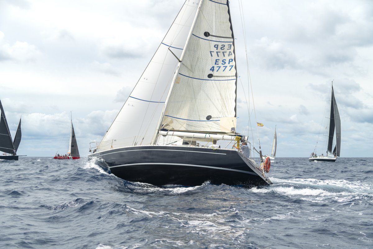 Panoramablick auf die Regatta vom Meer aus